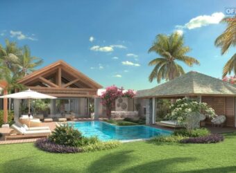 Accessible aux étrangers: A vendre somptueuses villas avec piscine situées dans un cadre splendide à Albion