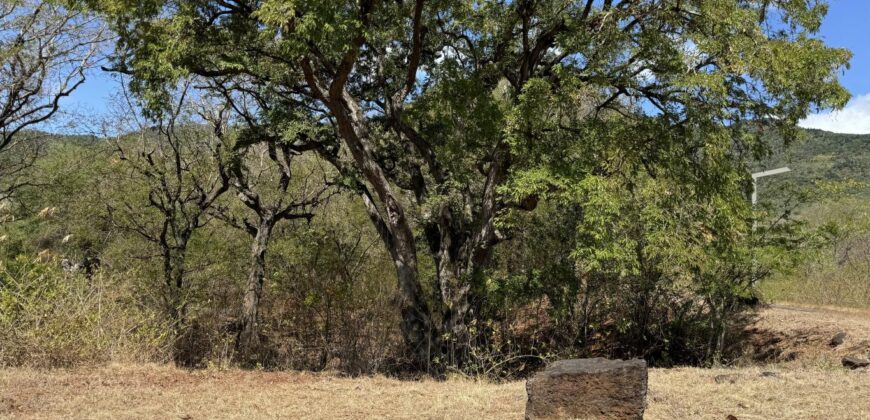 A vendre: Terrain de 2115 m² (556 toises) dans le morcellement sécurisé Palmyre, à Rivière Noire.